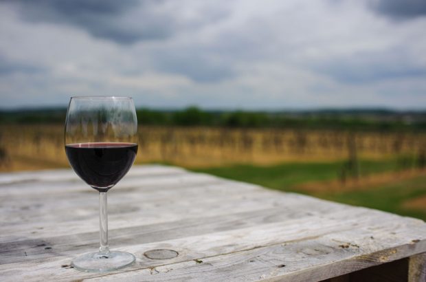 Glass of red wine on wooden table with vineyards in background