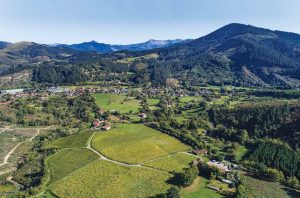 Bodegas Astobiza, Okondo