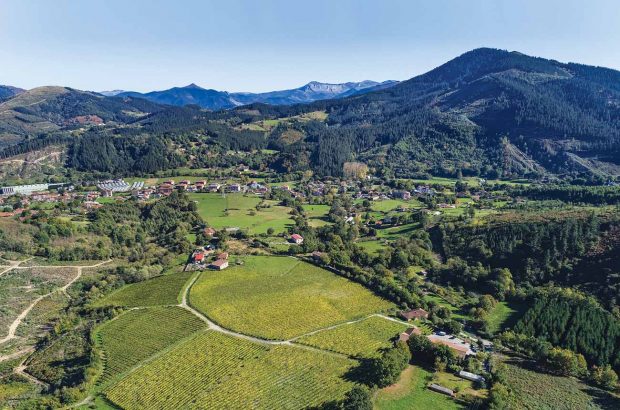 Bodegas Astobiza, Okondo