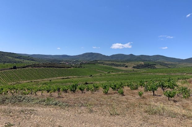 Faugères latest releases