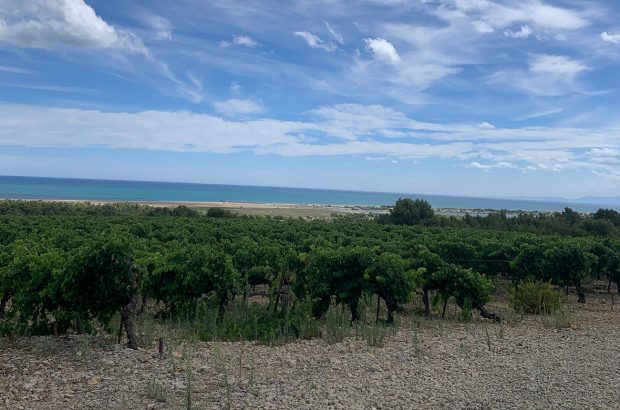 La Clape latest releases