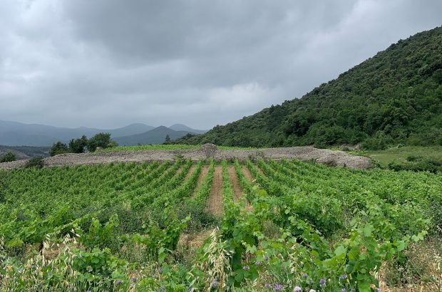 Terrasses du Larzac latest releases