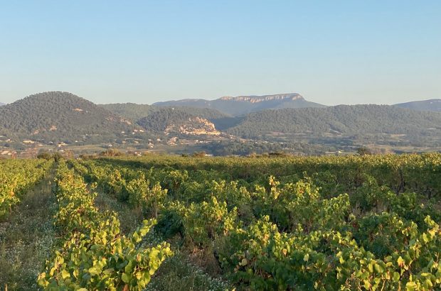 Southern Rhône 2022 diary