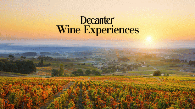 Rhone valley wine tour 2024