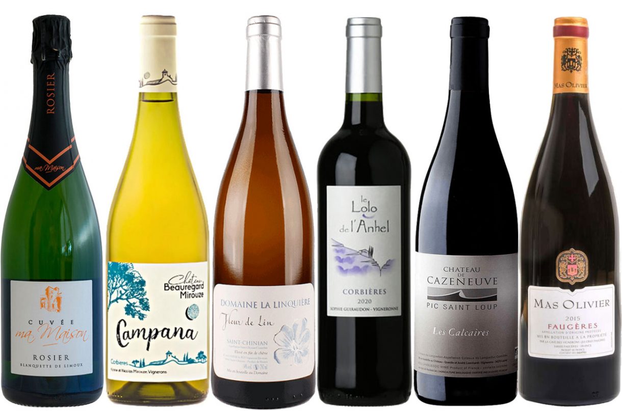 Languedoc report 2023 Best value wines Decanter