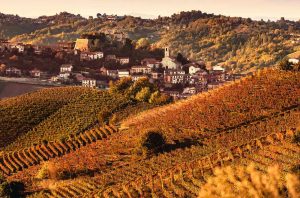 Nizza DOCG wine region in Piedmont, Italy