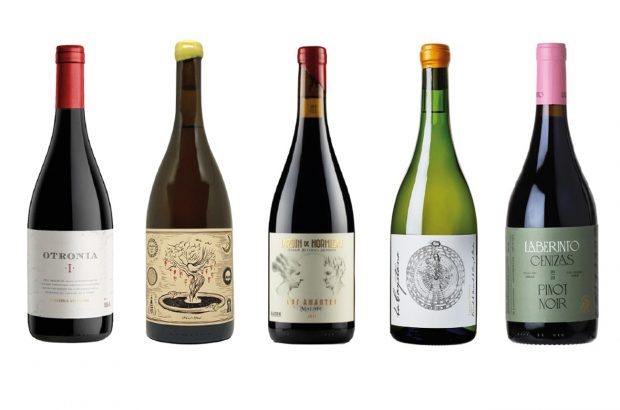 Five bottles of wine