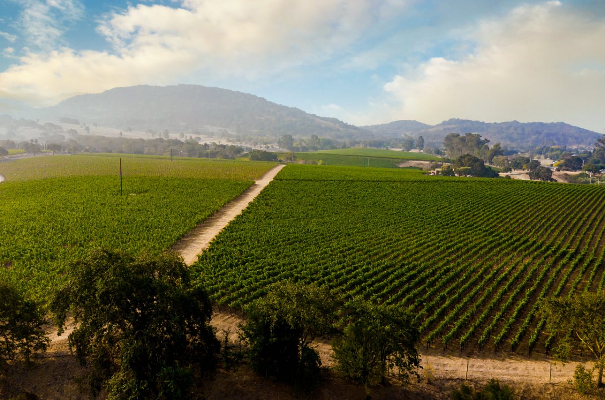 Paul Hobbs unveils the fresher side of Napa Decanter