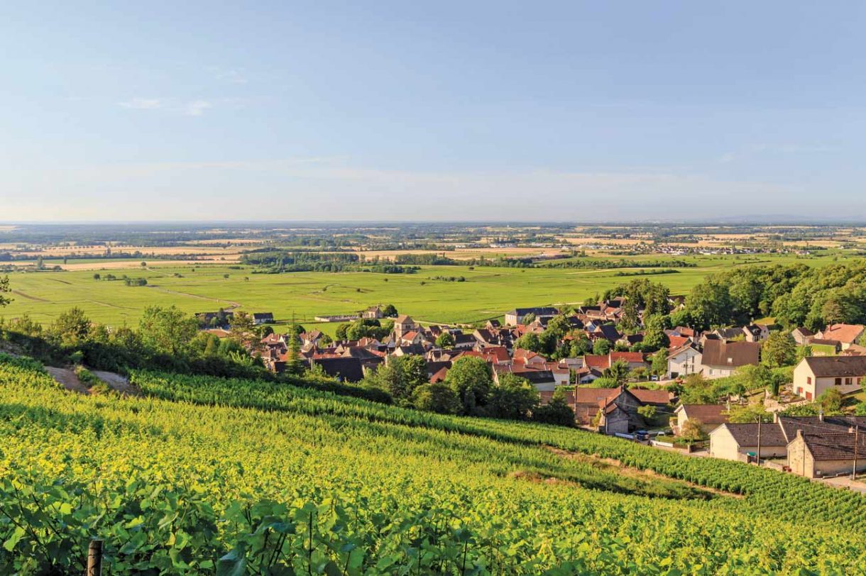 Full Burgundy vintage guide back to 1961 Decanter