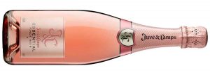 Juvé & Camps Essential Pinot Noir Brut DO