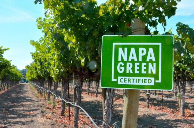 image of vineyards with Napa Green certified sign