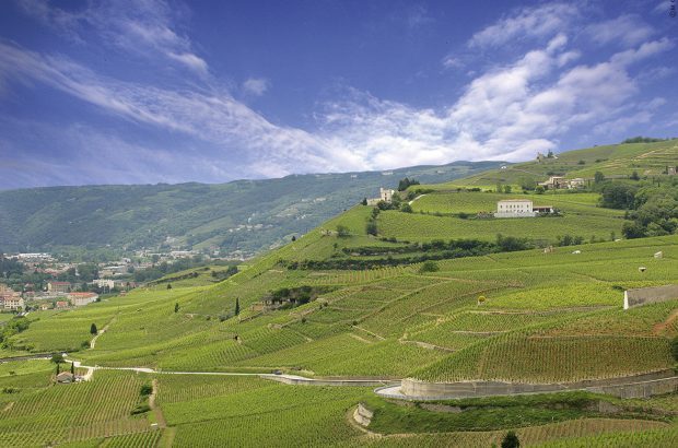 M Chapoutier Chante-Alouette