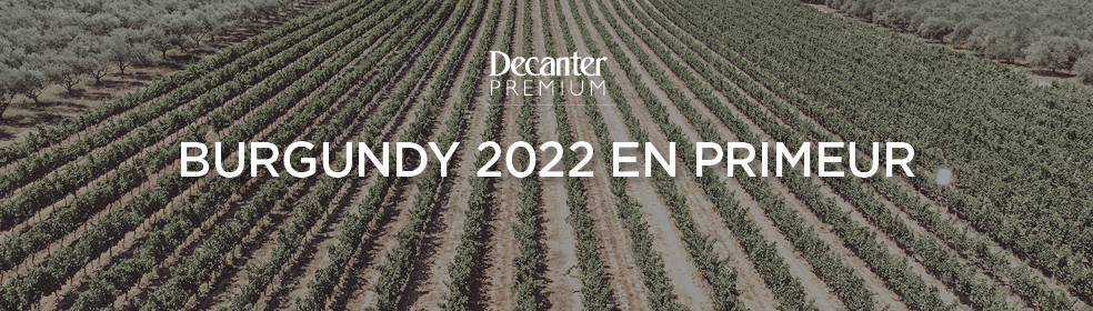 BURGUNDY 2022 en primeur