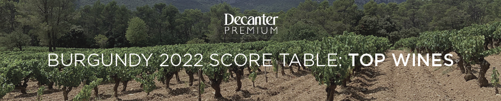 BURGUNDY 2022 top wines