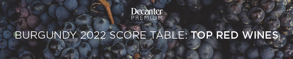 BURGUNDY 2022 top red wines