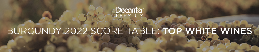 BURGUNDY 2022 top white wines