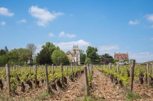 Côte de Beaune 2022