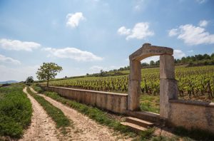 Chassagne Puligny Montrachet 2022