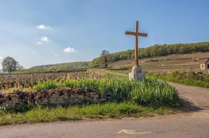 Vosne-Romanée 2022