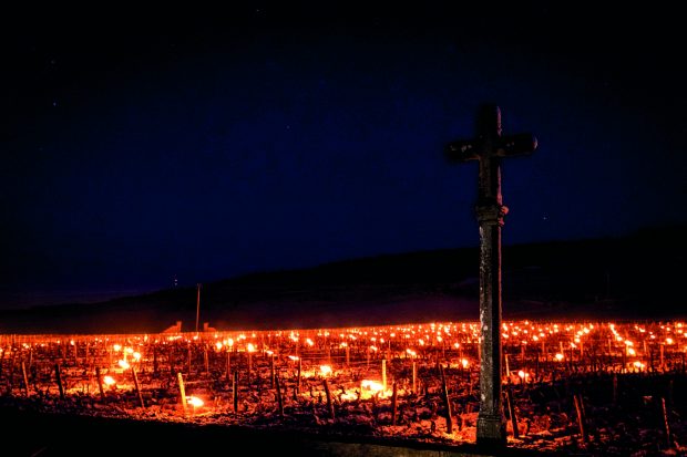 Domaine de la Romanée-Conti 2021