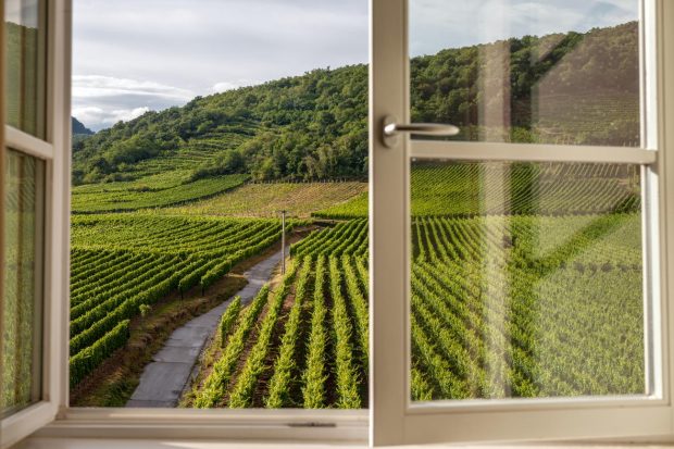 rhone drinking windows