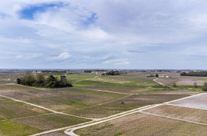 Pauillac 2021 in bottle