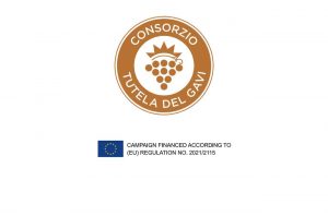 Consorzio Gavi in Piedmont, Northern Italy