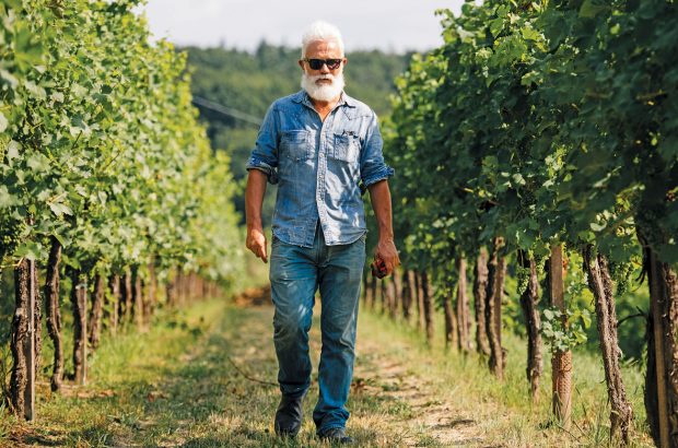 Marco Simonit in vineyard