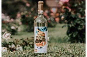 Gavi wine - a style that reflects its terroir with a razor sharp and uncanny precision