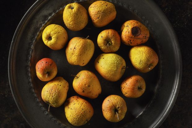 ageing grower champagne