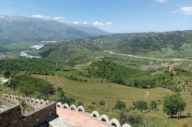 Vineyards in a wide valley with a river and mountains in the background