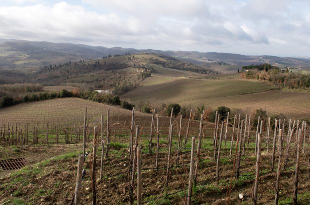 Chianti Classico annata