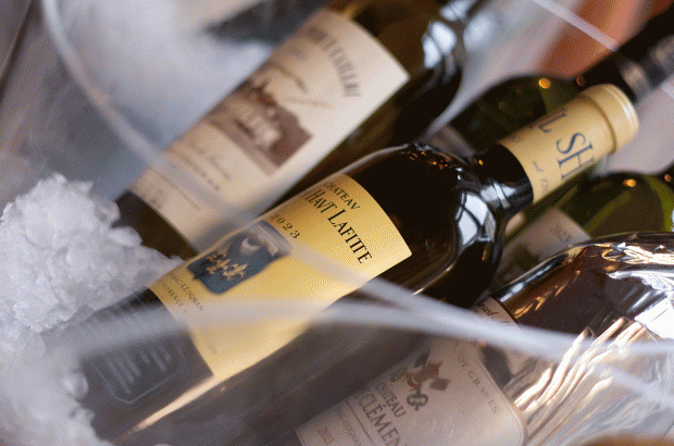 Bordeaux dry white 2023