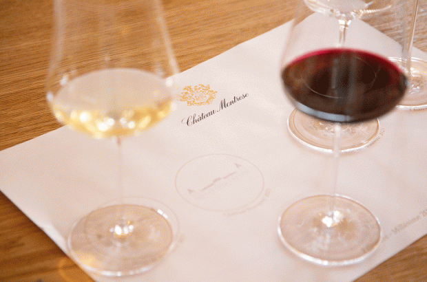 St-Estèphe en primeur 2023