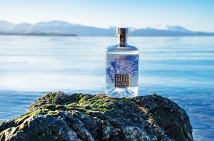 Isle of Bute’s Small Batch Oyster Gin with sea background