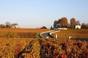 Médoc white wines