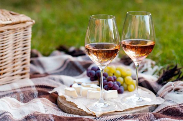 Two glasses of rosé wine with cheese and grapes on a plate in outdoor picnic scene