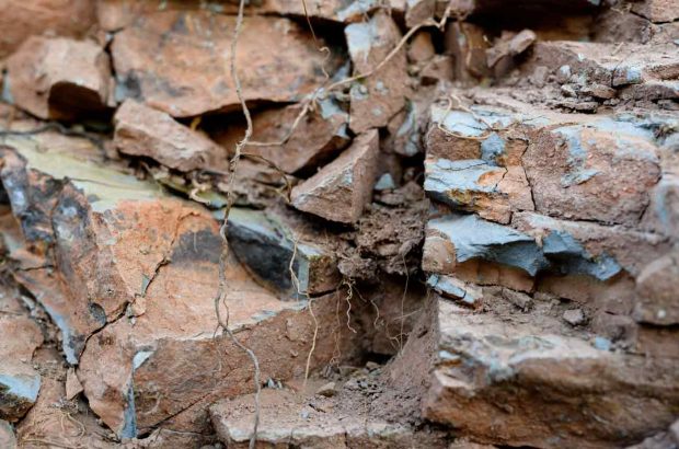 Deep roots and volcanic soils in Hamel's Nuns Canyon Vineyard.