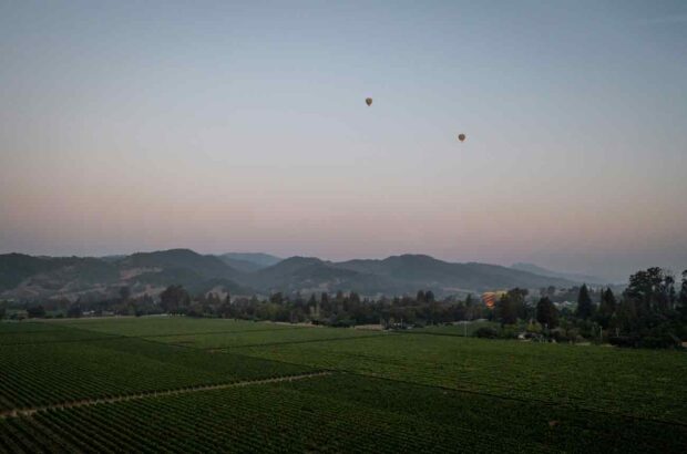 Oak Knoll Cabernets 2021