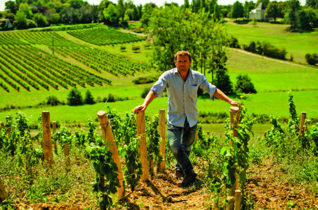 Thibault Despagne, Bordeaux change