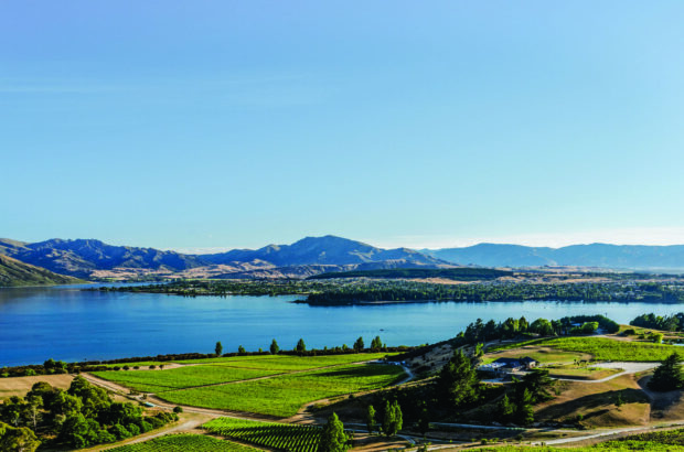 New Zealand Pinot Noir