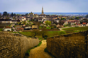Meursault 2023