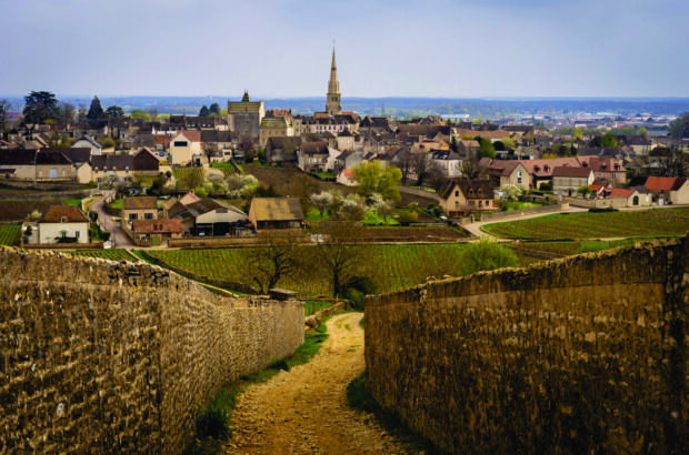 Meursault 2023