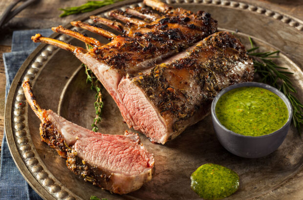 best wine with lamb