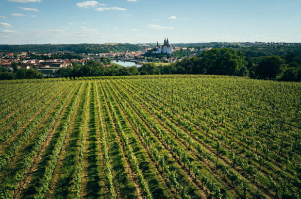 Sachsen and Saal-Unstrut