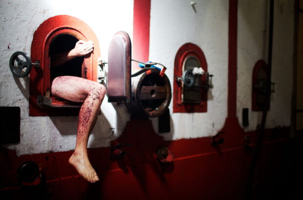 Burgundy 2023 vintage