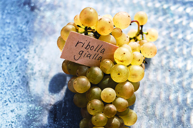 Australia's Italian varietals