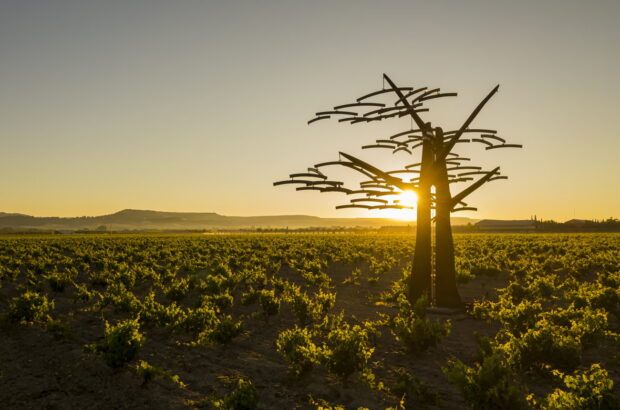 Spanish Icons: Vega Sicilia Unico