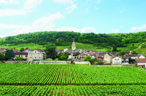 underrated premier cru Burgundy
