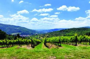 top Chianti